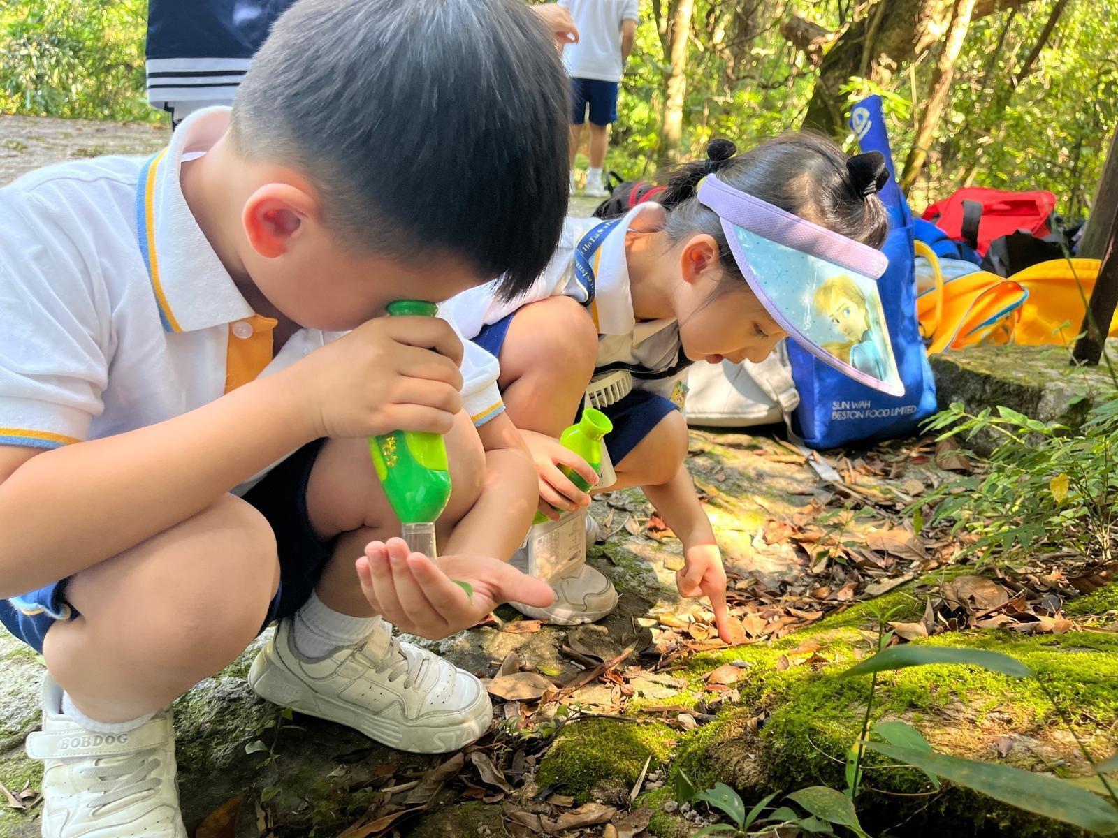 學生擁有大量機會探索大自然。(學校提供照片)