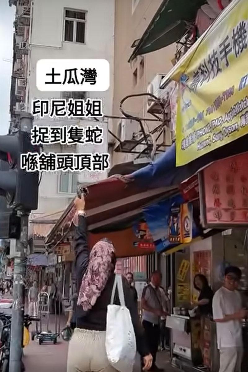 網傳影片顯示土瓜灣一間地舖簷篷有一條大蛇,有外傭徒手將其制服。(網上影片截圖)