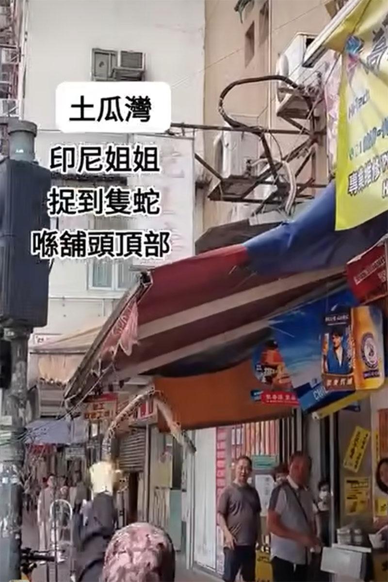 網傳影片顯示土瓜灣一間地舖簷篷有一條大蛇,有外傭徒手將其制服。(網上影片截圖)