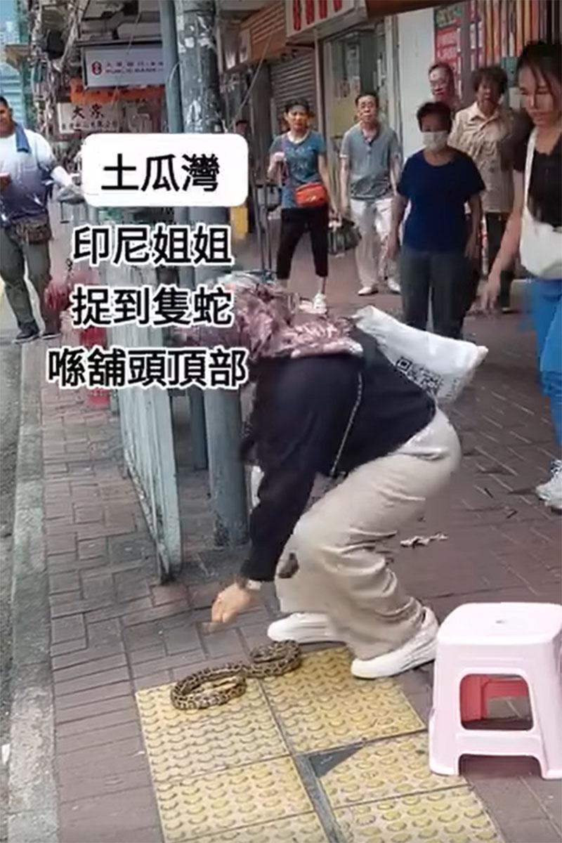 網傳影片顯示土瓜灣一間地舖簷篷有一條大蛇,有外傭徒手將其制服。(網上影片截圖)