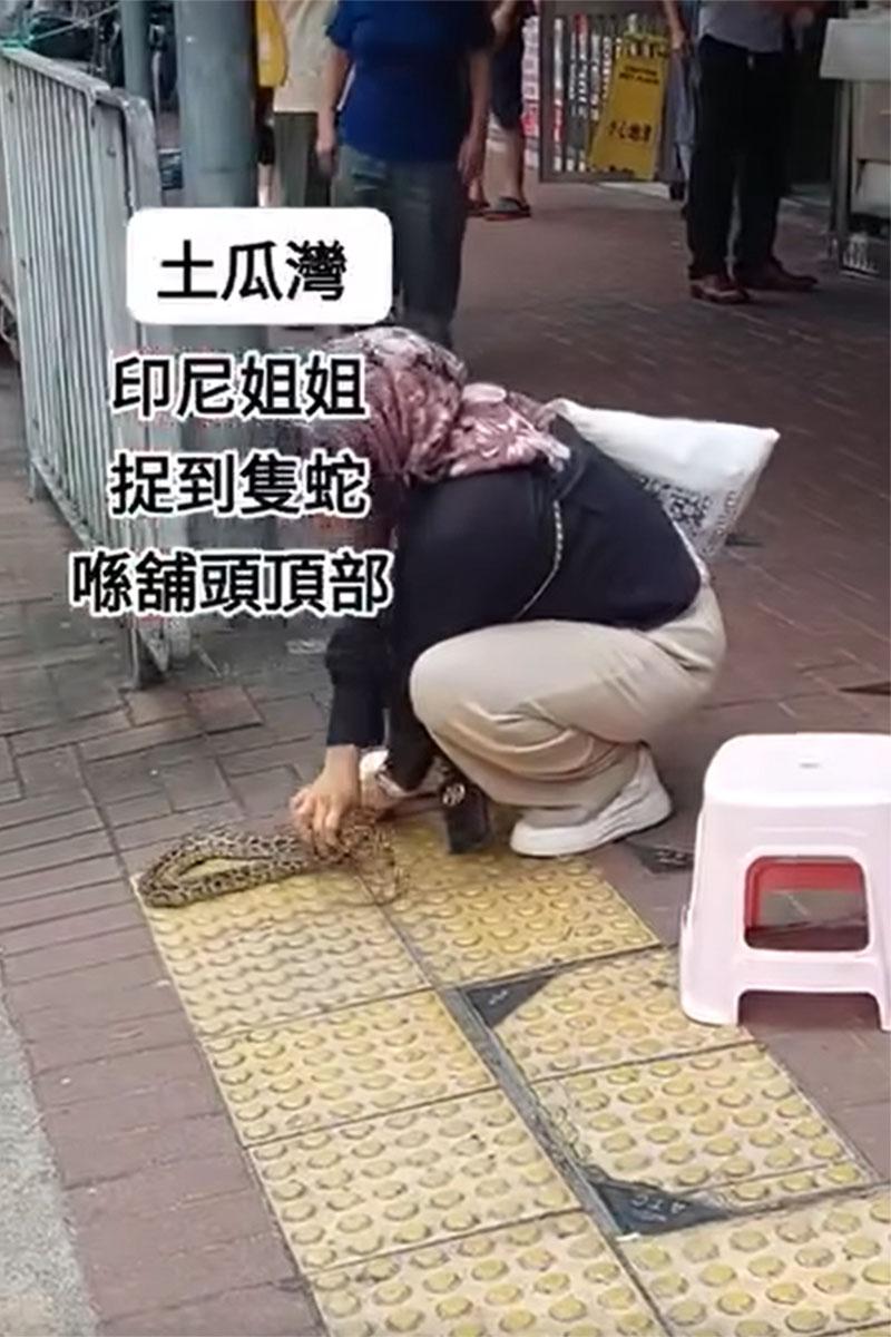 網傳影片顯示土瓜灣一間地舖簷篷有一條大蛇,有外傭徒手將其制服。(網上影片截圖)