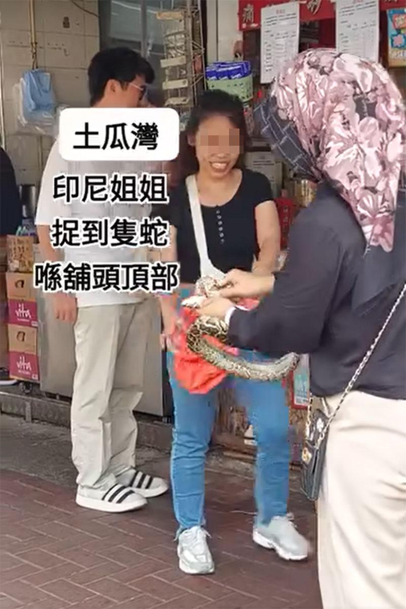外傭徒手制服大蛇,但其同行朋友對此感懼怕。(網上影片截圖)