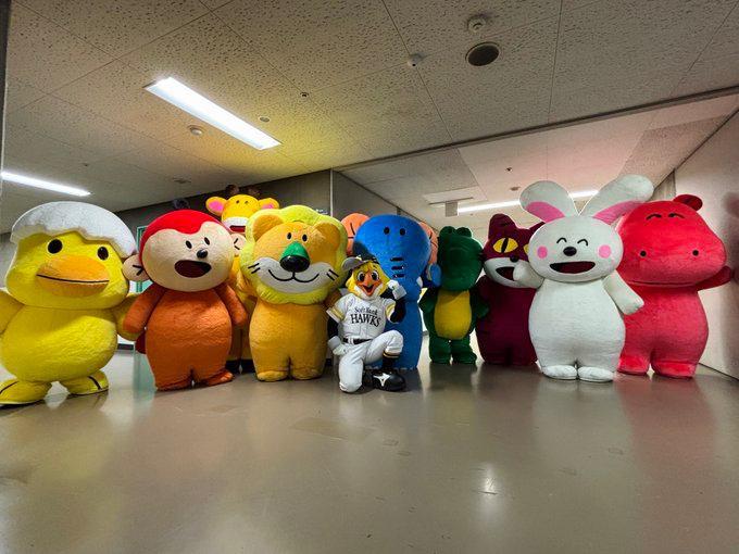 愉快動物餅主角近日四出造勢。