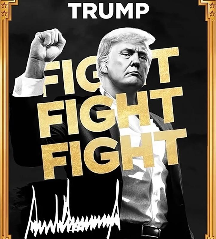 特朗普迷因幣官網宣傳圖像。(互聯網)