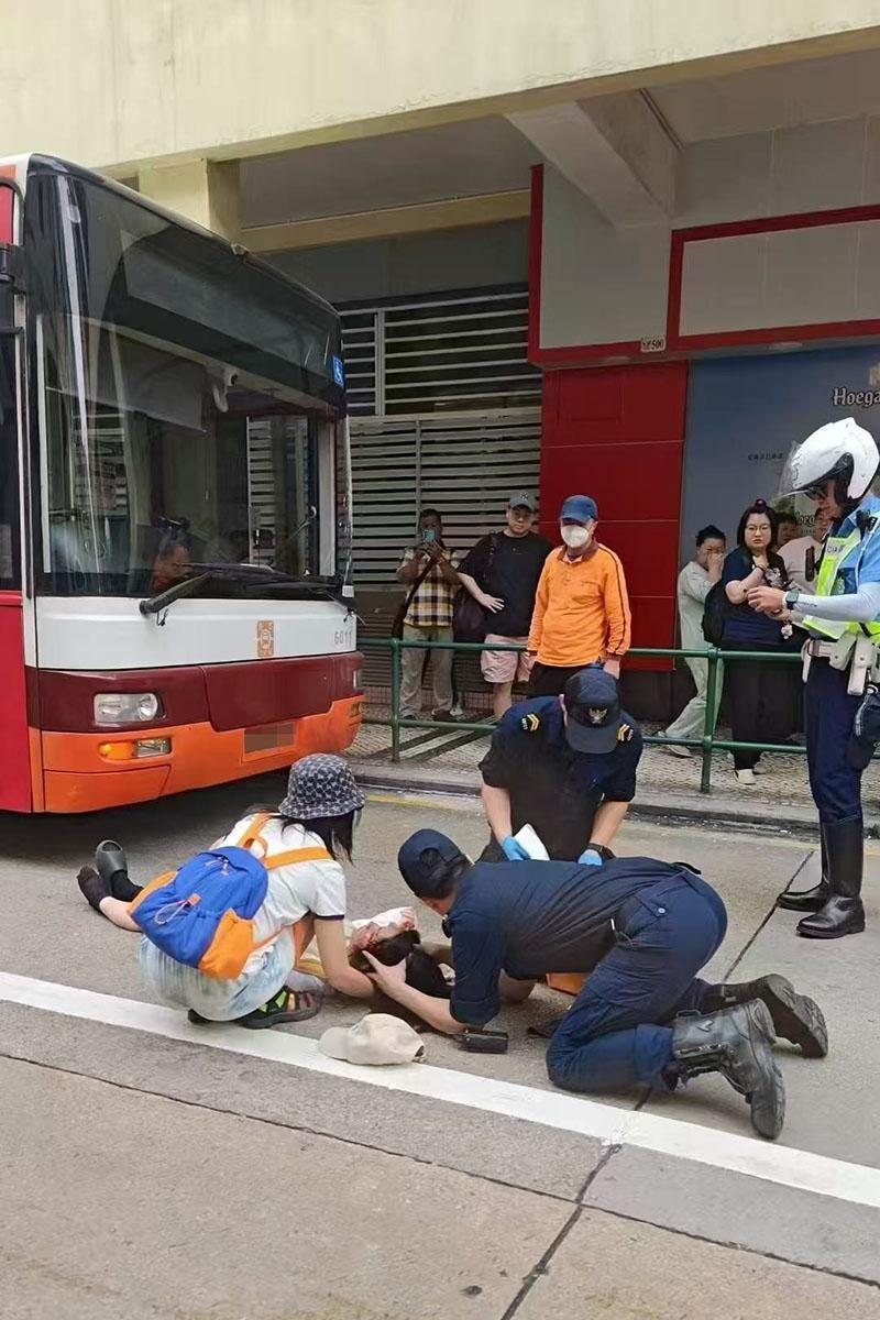 一名內地女子與友人在澳門疑違規過馬路,遭一輛巴士撞倒受傷。(網上圖片)