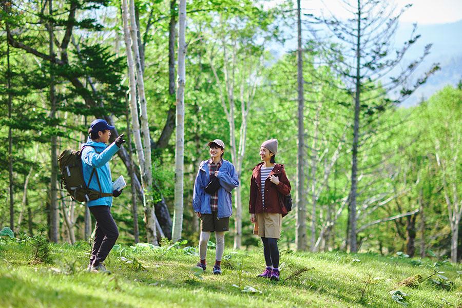 住客限定!雲海平台導覽之旅