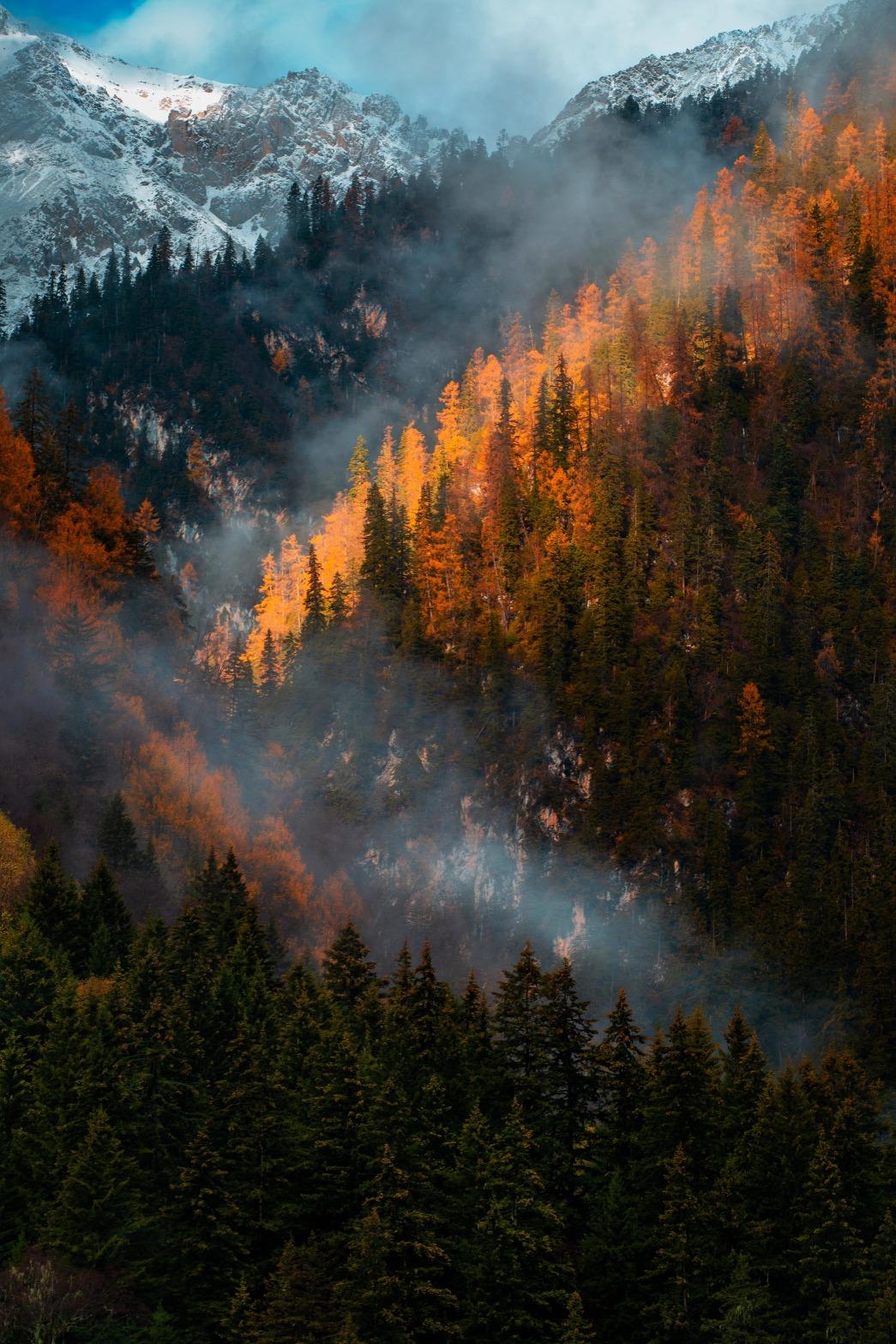 無論春夏秋冬,九寨溝都以不同的姿態展現極致之美。(圖片來源:Getty)