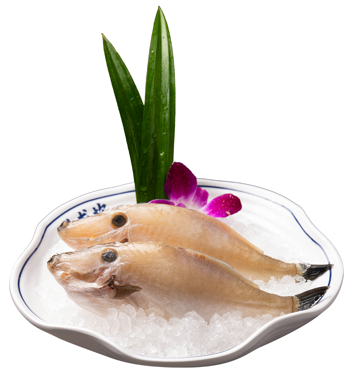 精品帶頭耗兒魚(港幣$72)