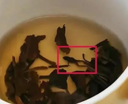 有網民指於奈雪的茶旗下花茶產品中發現了一整隻青蛙的屍體。(網上圖片)