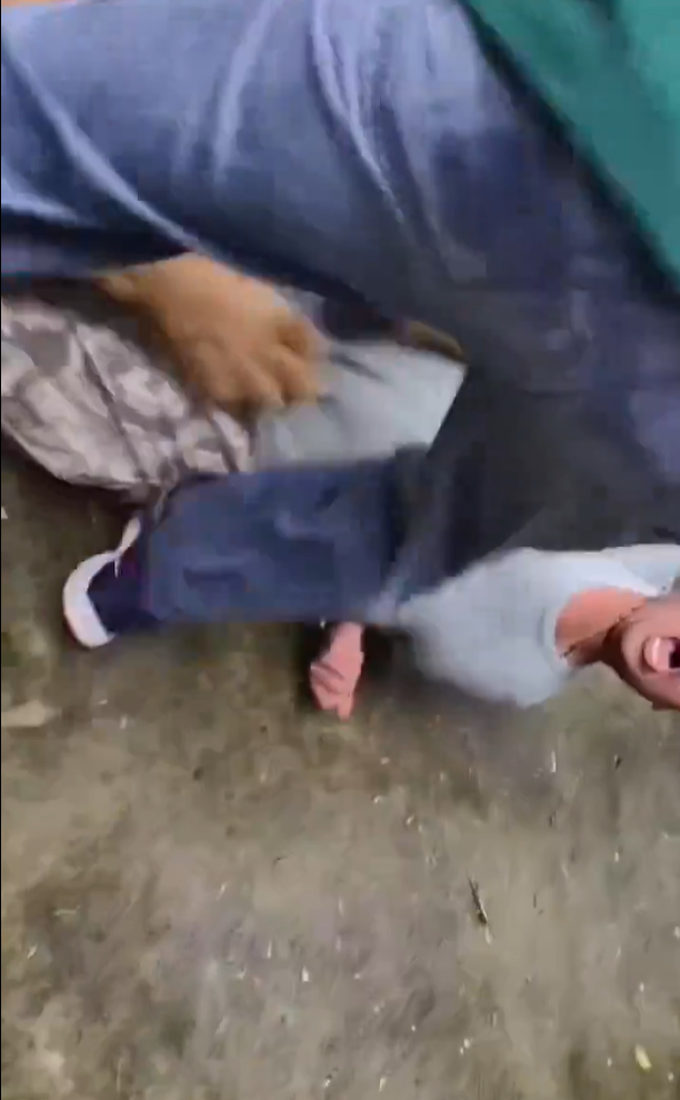 遊客布吉近距離與老虎合照 突受襲躺地尖叫(有片