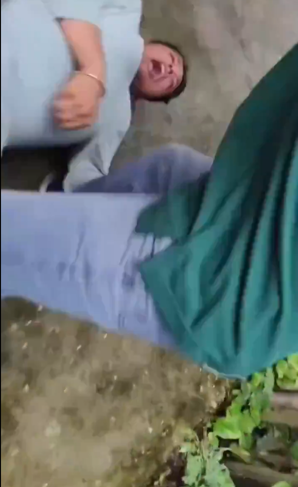 遊客布吉近距離與老虎合照 突受襲躺地尖叫(有片