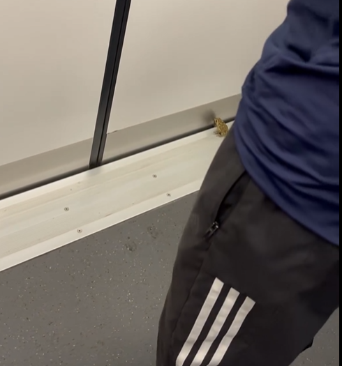 (@Threads/dezoode影片截圖)