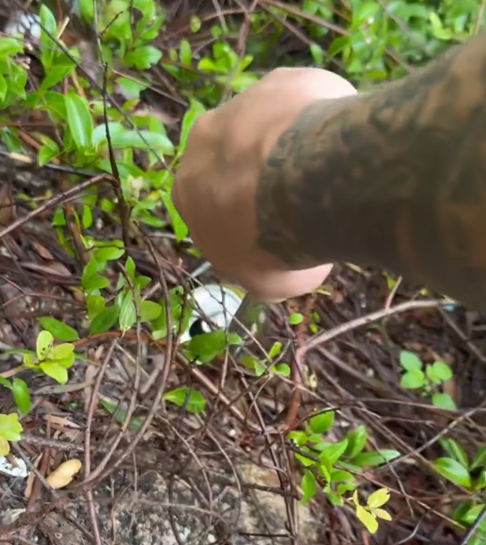 一批熱心市民趁父親節當天組隊在三號風球下登上飛鵝山行山清理山野垃圾,途中發現大量避孕套及過千支煙頭,甚至出現曾使用過驗孕棒。(the_night_spyder@Threads)