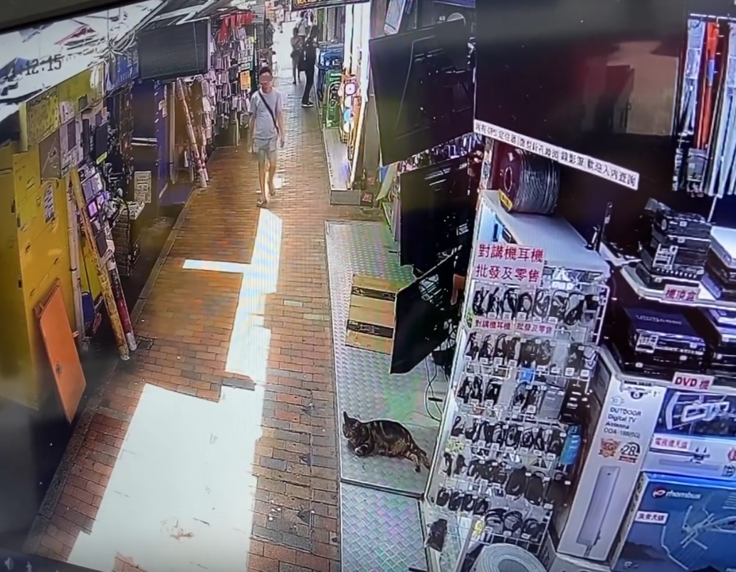 @Threads wantsunsing影片截圖