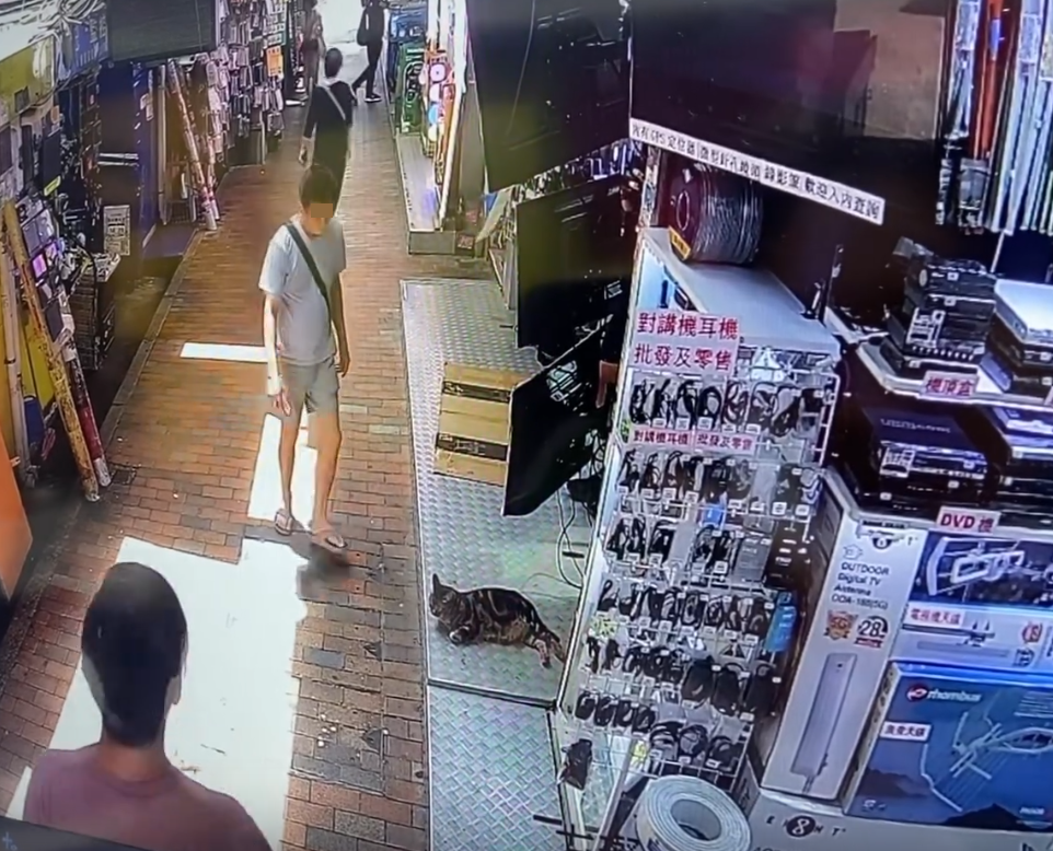 @Threads wantsunsing影片截圖