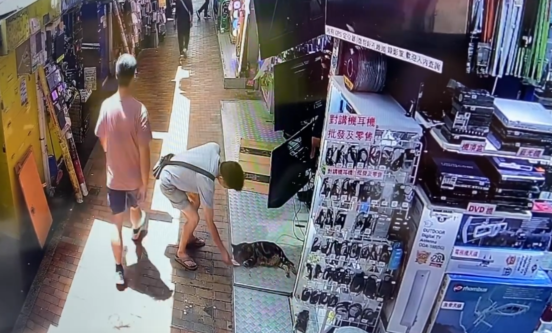 @Threads wantsunsing影片截圖