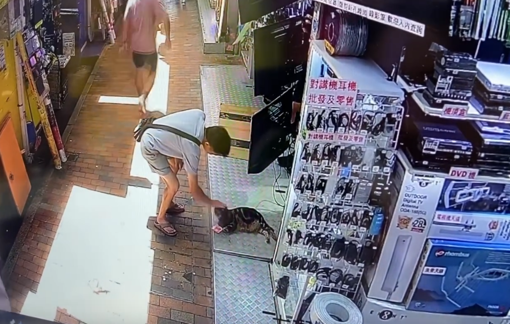 @Threads wantsunsing影片截圖