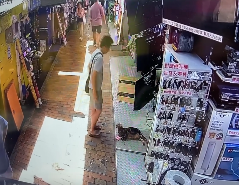 @Threads wantsunsing影片截圖