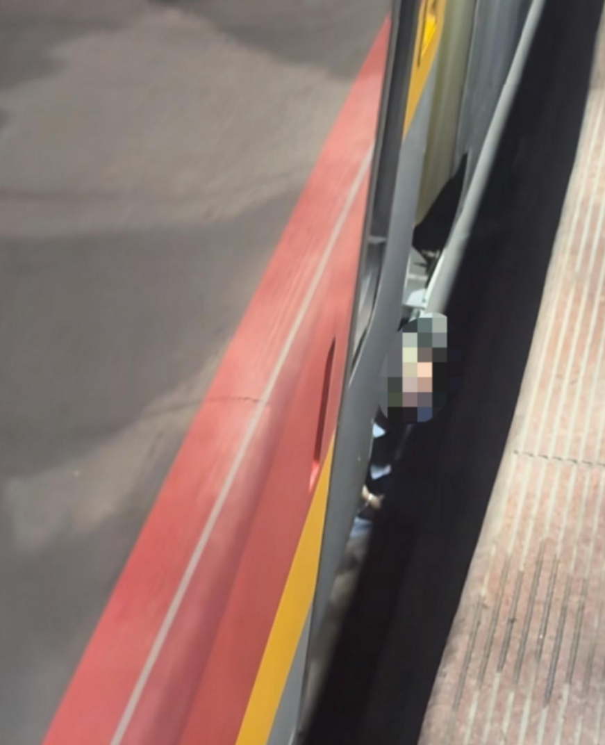 深圳北站一名女童墮入高鐵與月台之間的空隙中,受驚後嚎啕大哭,女童很快被救出,並無大礙。(影片截圖)