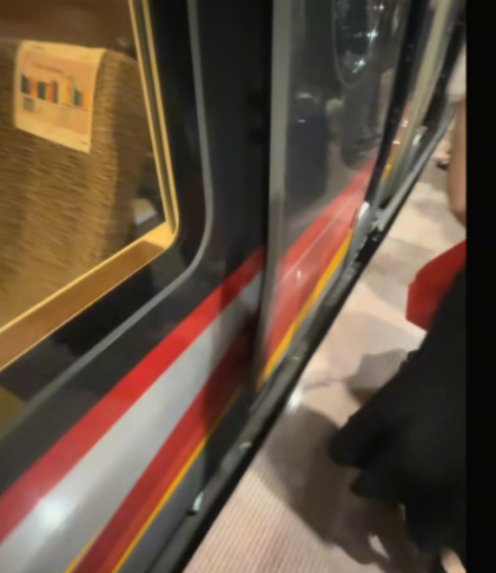 深圳北站一名女童墮入高鐵與月台之間的空隙中,受驚後嚎啕大哭,女童很快被救出,並無大礙。(影片截圖)