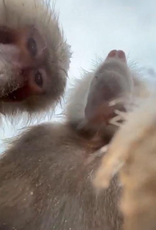 網民:好像我爸用手機的樣子。(X)