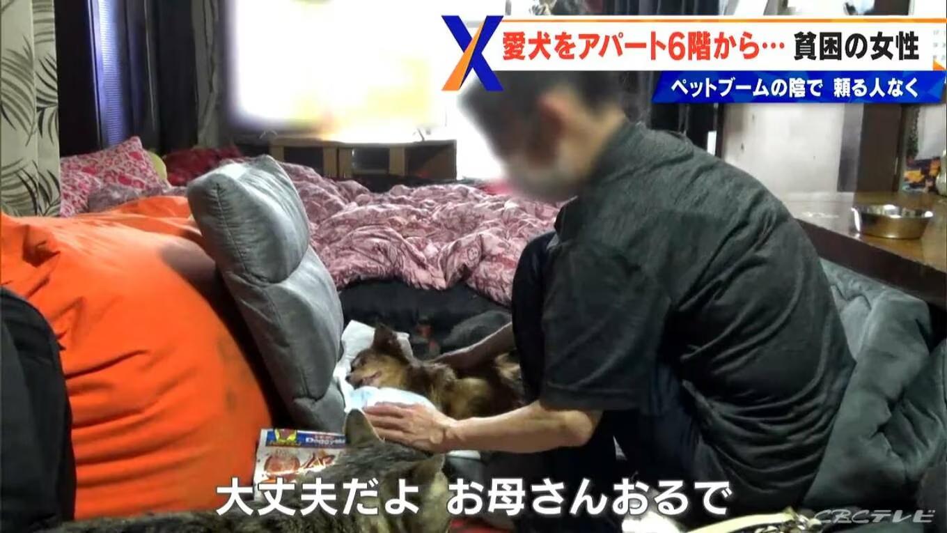 三郎墮樓後腦部受損,腰部以下癱瘓。(X)