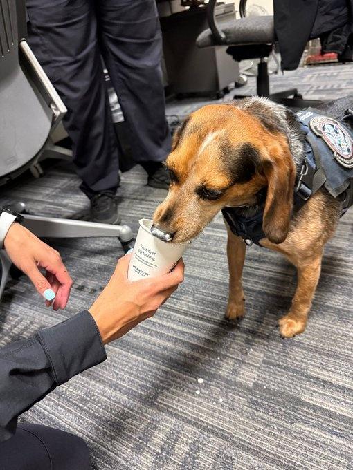 CBP於27日發放Freddy相片報平安,指Freddy正休養,牠更獲得最愛的小食。(FB)