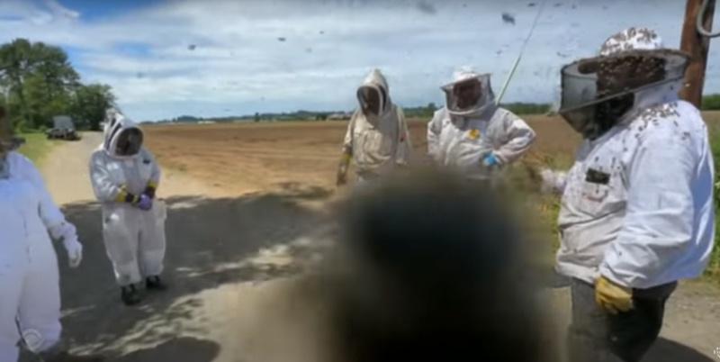 多位蜜蜂專家趕赴現場,將蜂箱從翻覆的卡車上拆卸下來,並召來當地逾20多名養蜂人支援。(YouTube)