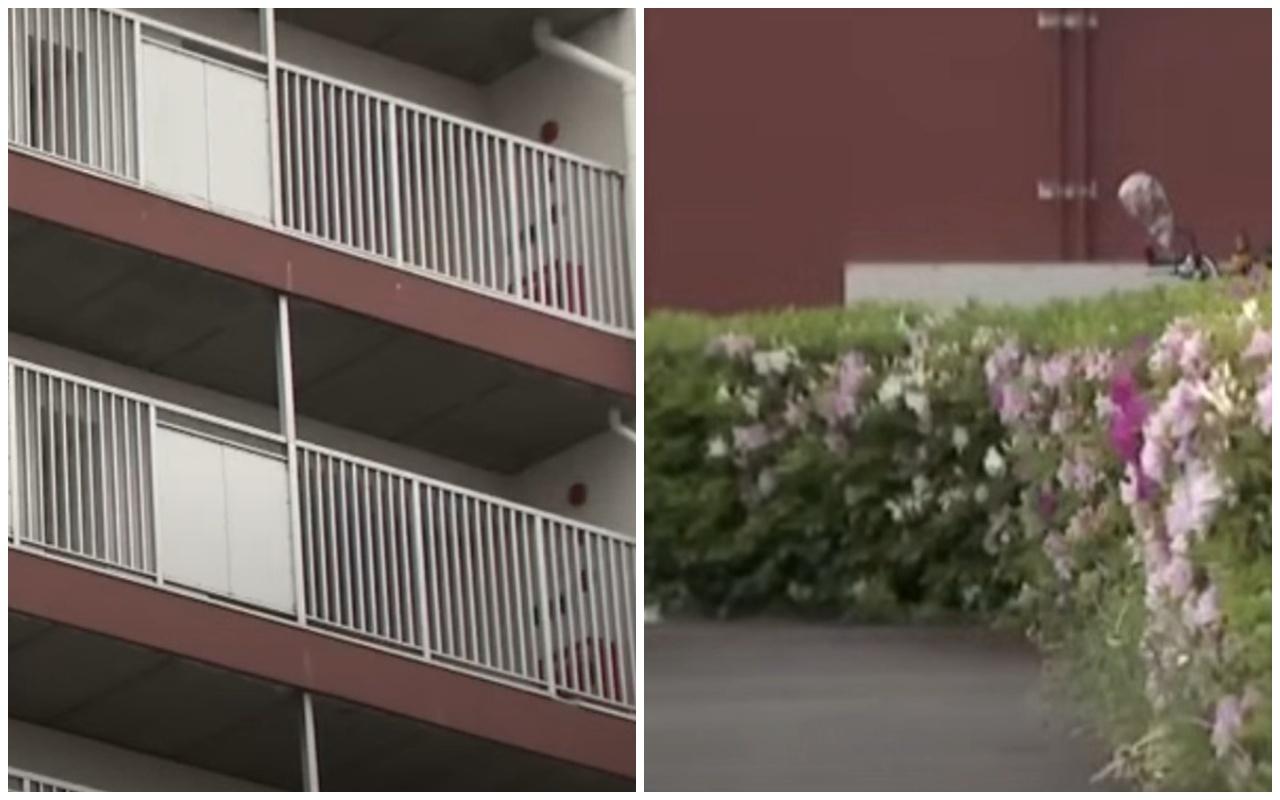 主人突然將三郎由6層樓高、約20米高的家中掉落街,詎料由於地面有草地,緩減了衝擊力,令三郎奇蹟生還。(X)