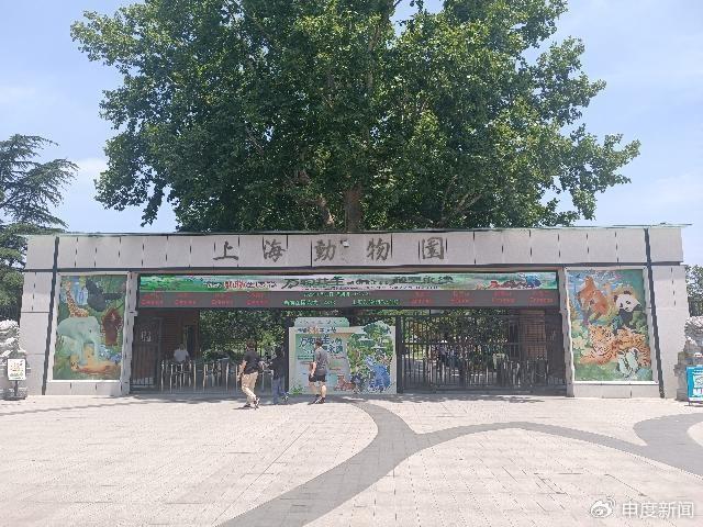 園方回應指,工作人員依規履職無需道歉,並稱遊客應該到母嬰室喂嬰兒。(微博)