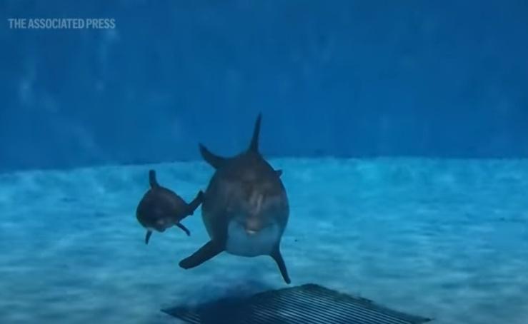 新手媽媽Allie與寶寶。(YouTube)