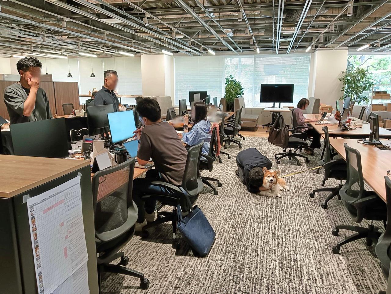 社長吸狗,一旁開會的員工們露出無奈神情。(X)