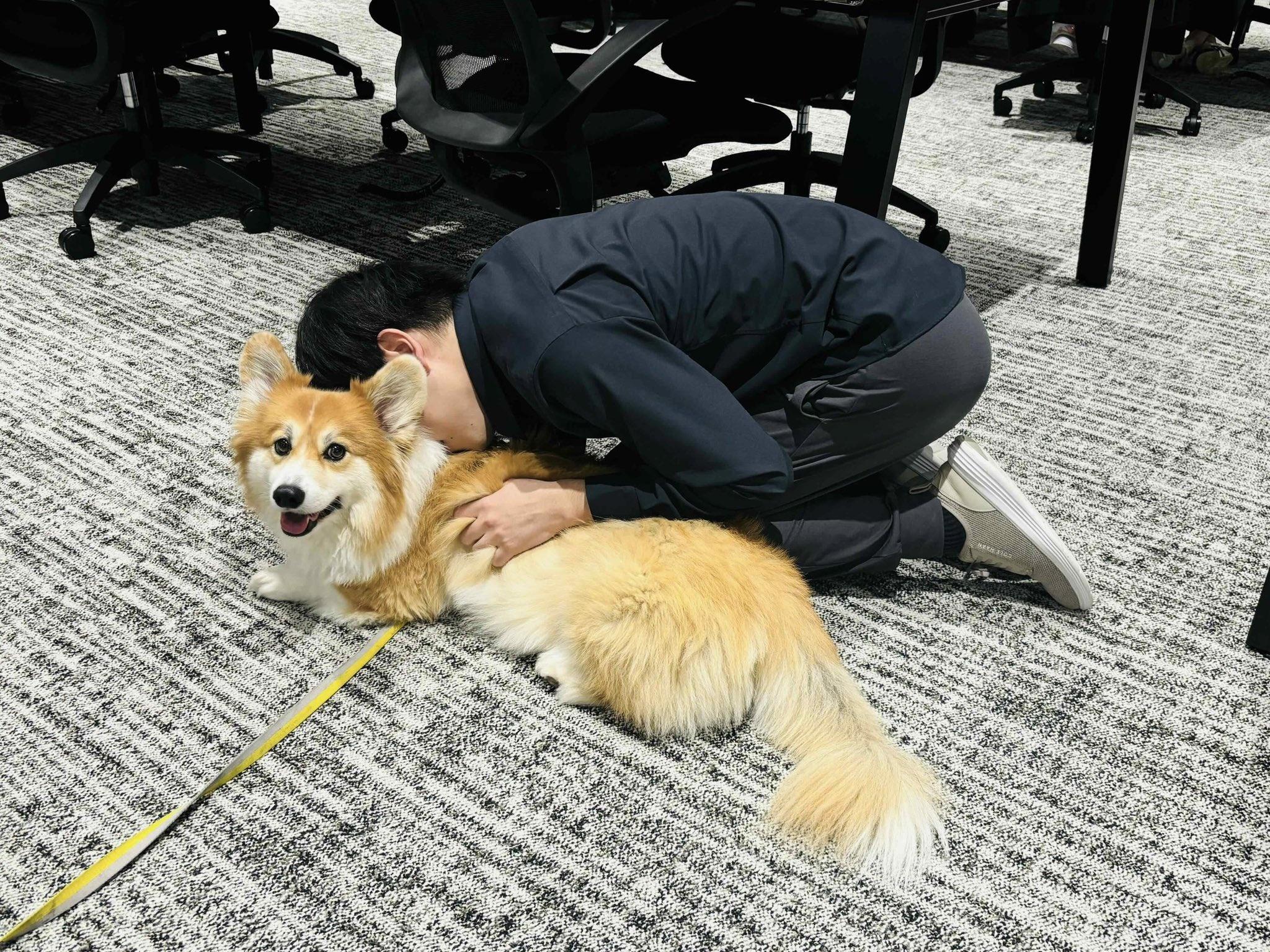 社長毫不掩飾,從毛孩的肚子吸到耳朵,再吸到臉頰,完全沉浸其中,旁若無人。(X)