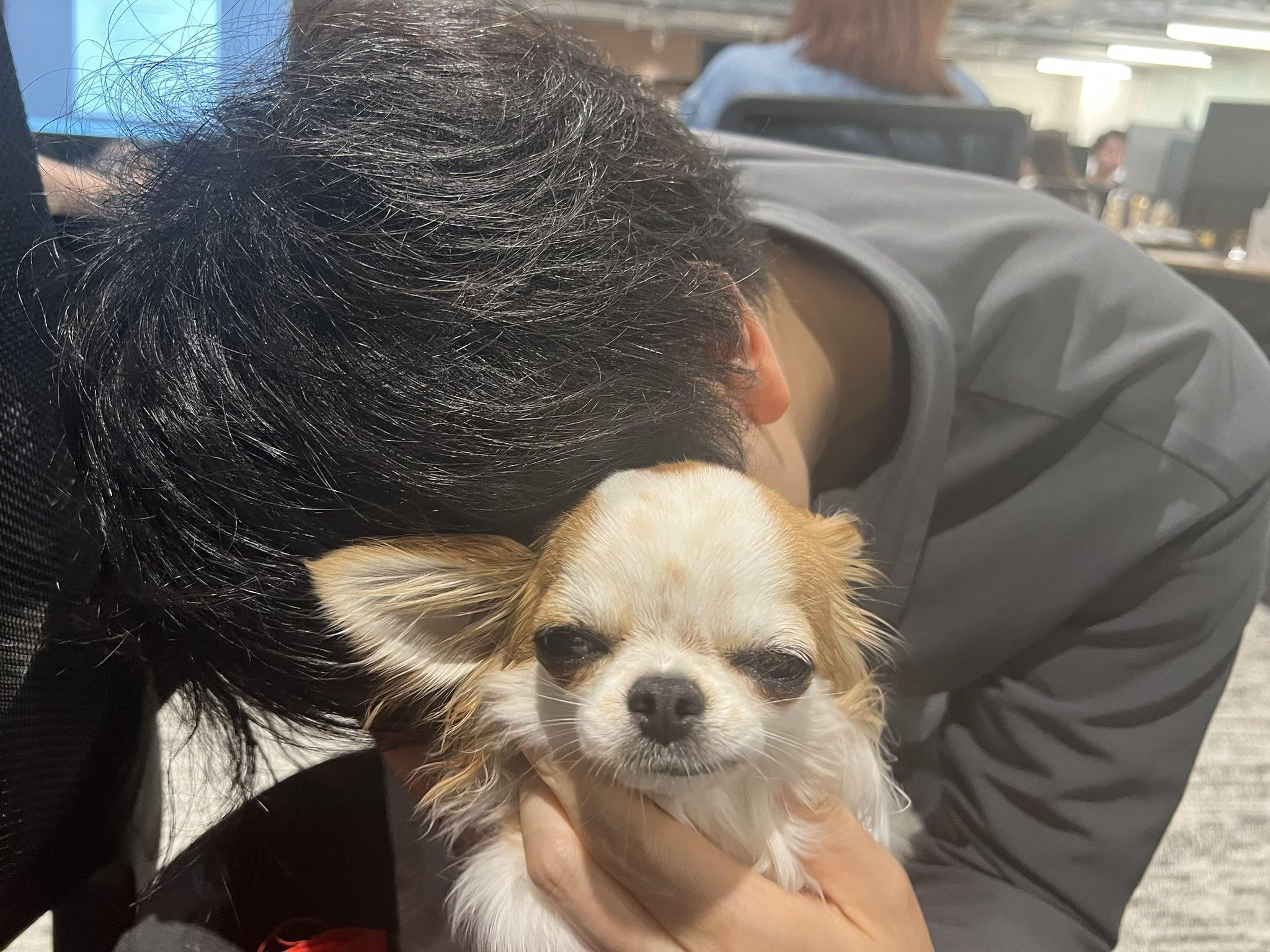 網民:狗狗說「這公司沒有我不行」(X)