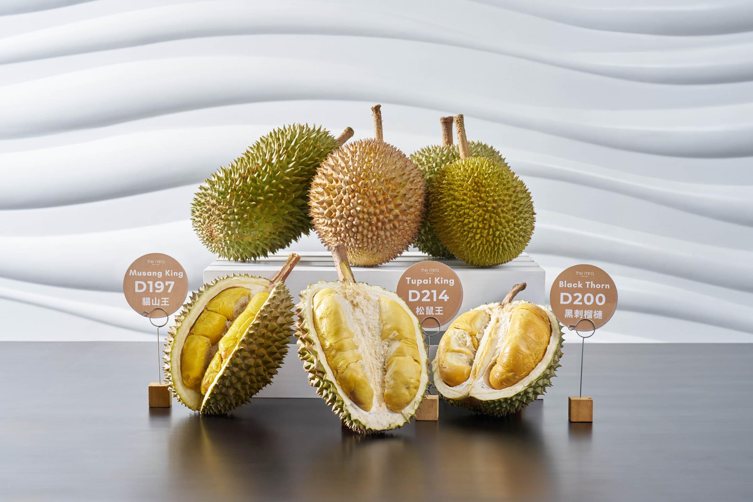 品嚐稀有榴槤 無限任食貓山王D197