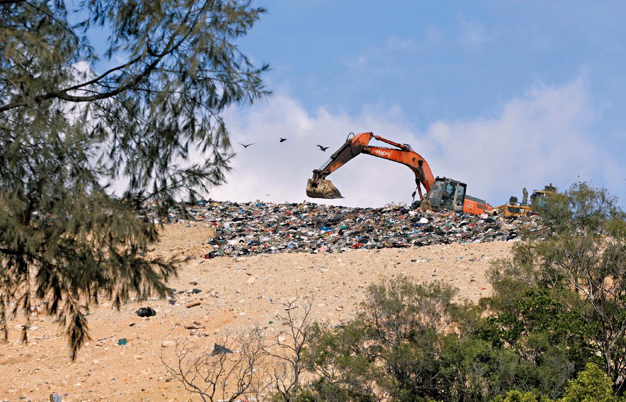 越南女子失蹤謀殺案
