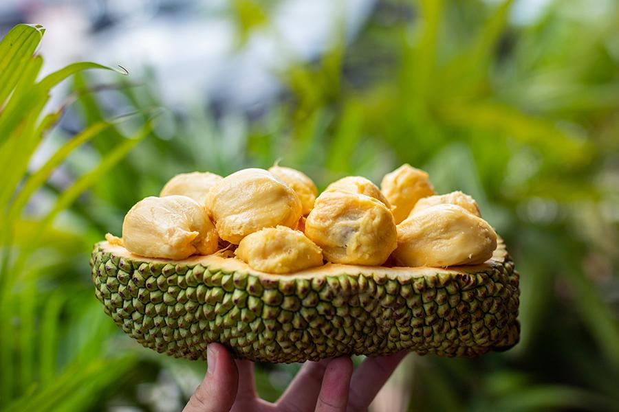 品嚐稀有榴槤 無限任食貓山王D197