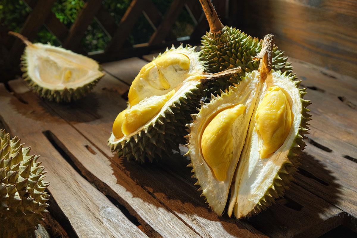 品嚐稀有榴槤 無限任食貓山王D197
