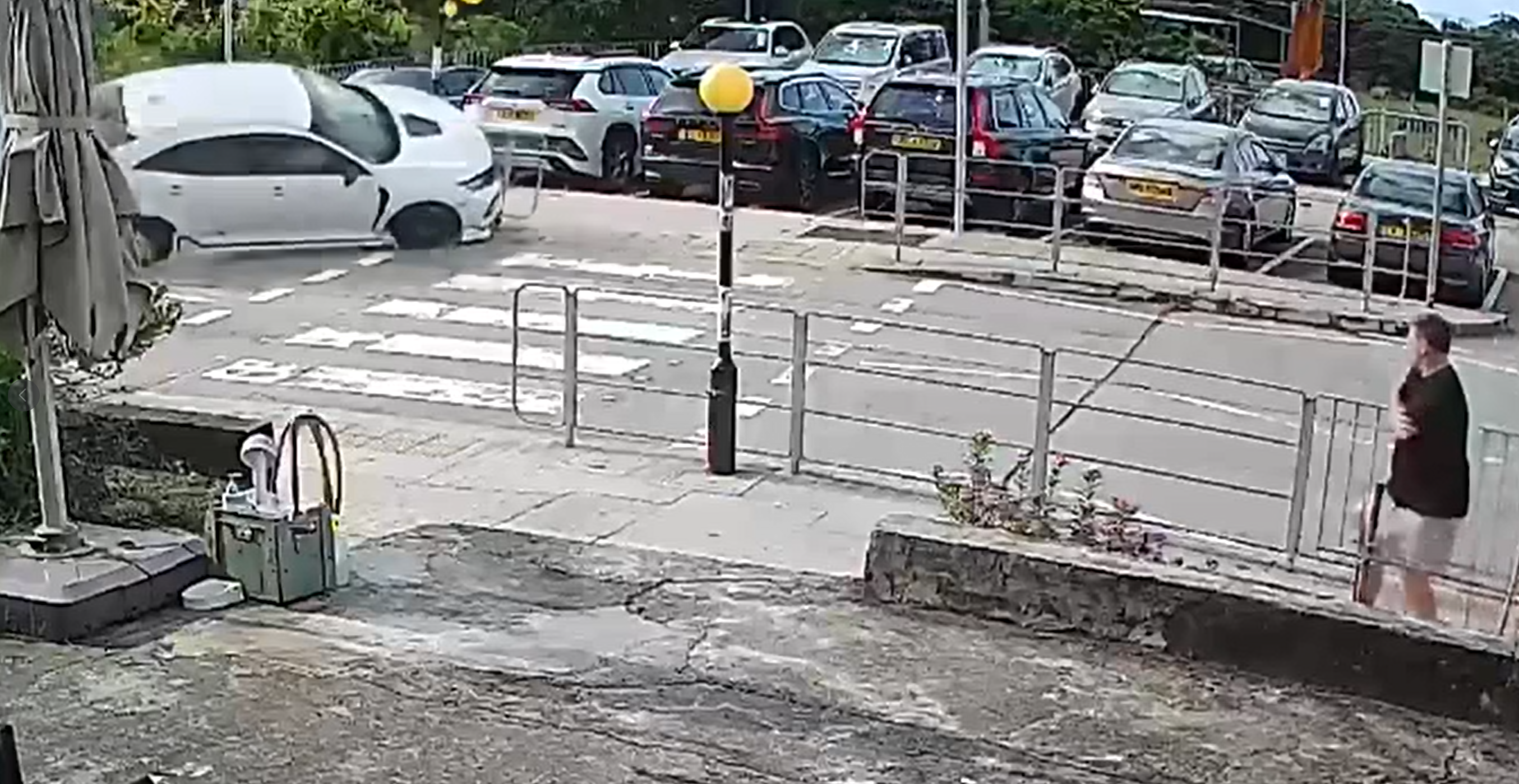 大嶼山私家車斑馬線「反肚」嚇親放狗途人 司機疑「恰眼瞓」肇禍(有片)