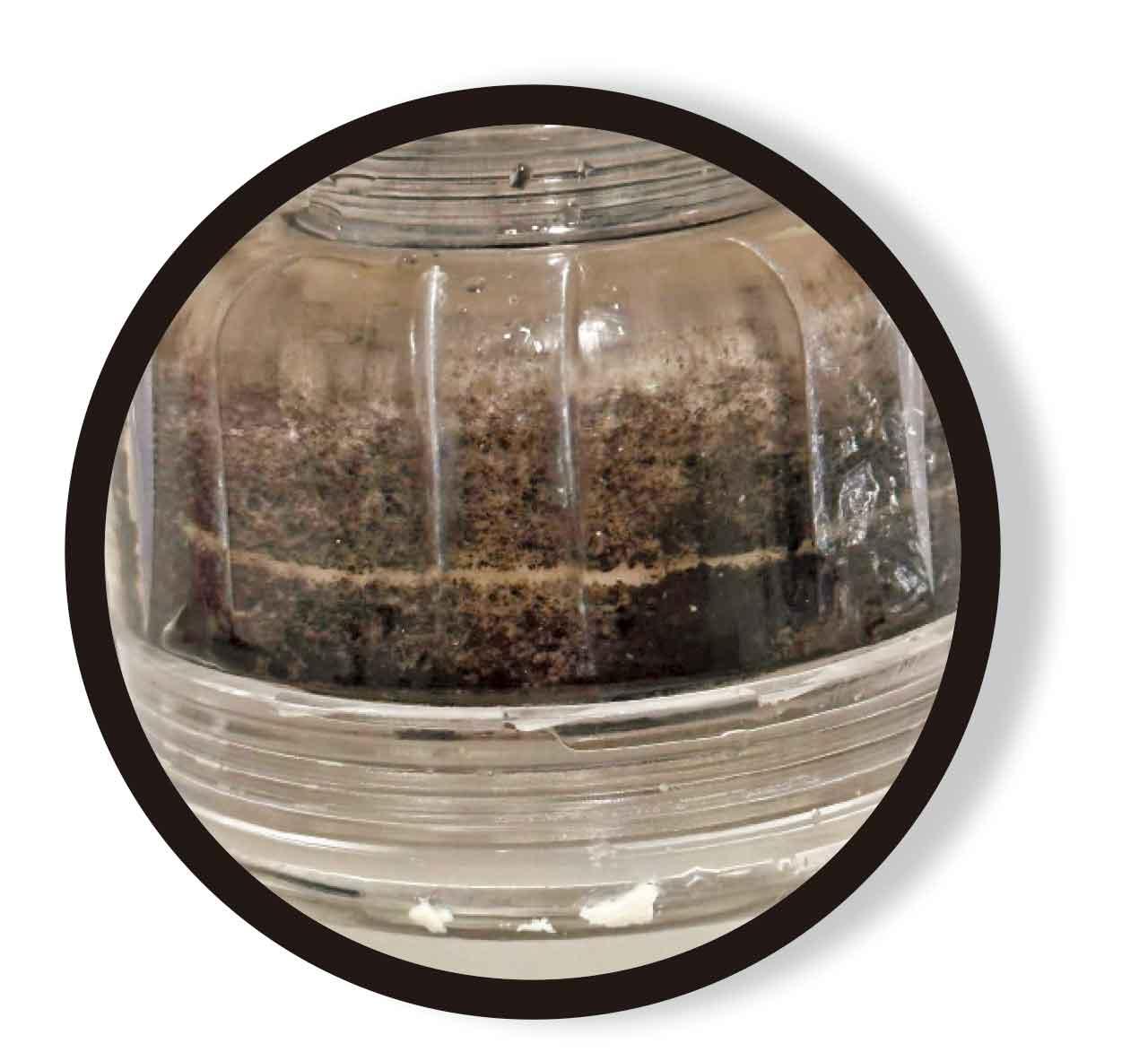 粉嶺皇后山邨食水安全