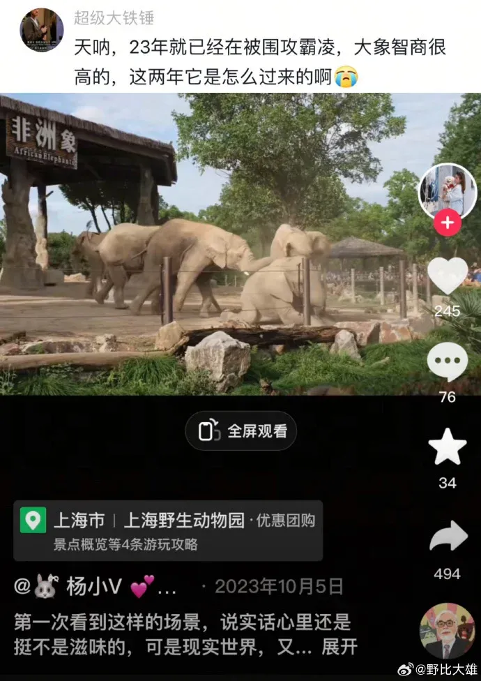 上海野生動物園近傳出有大象被集體欺凌,有網民指2年前已經發現相似現象。