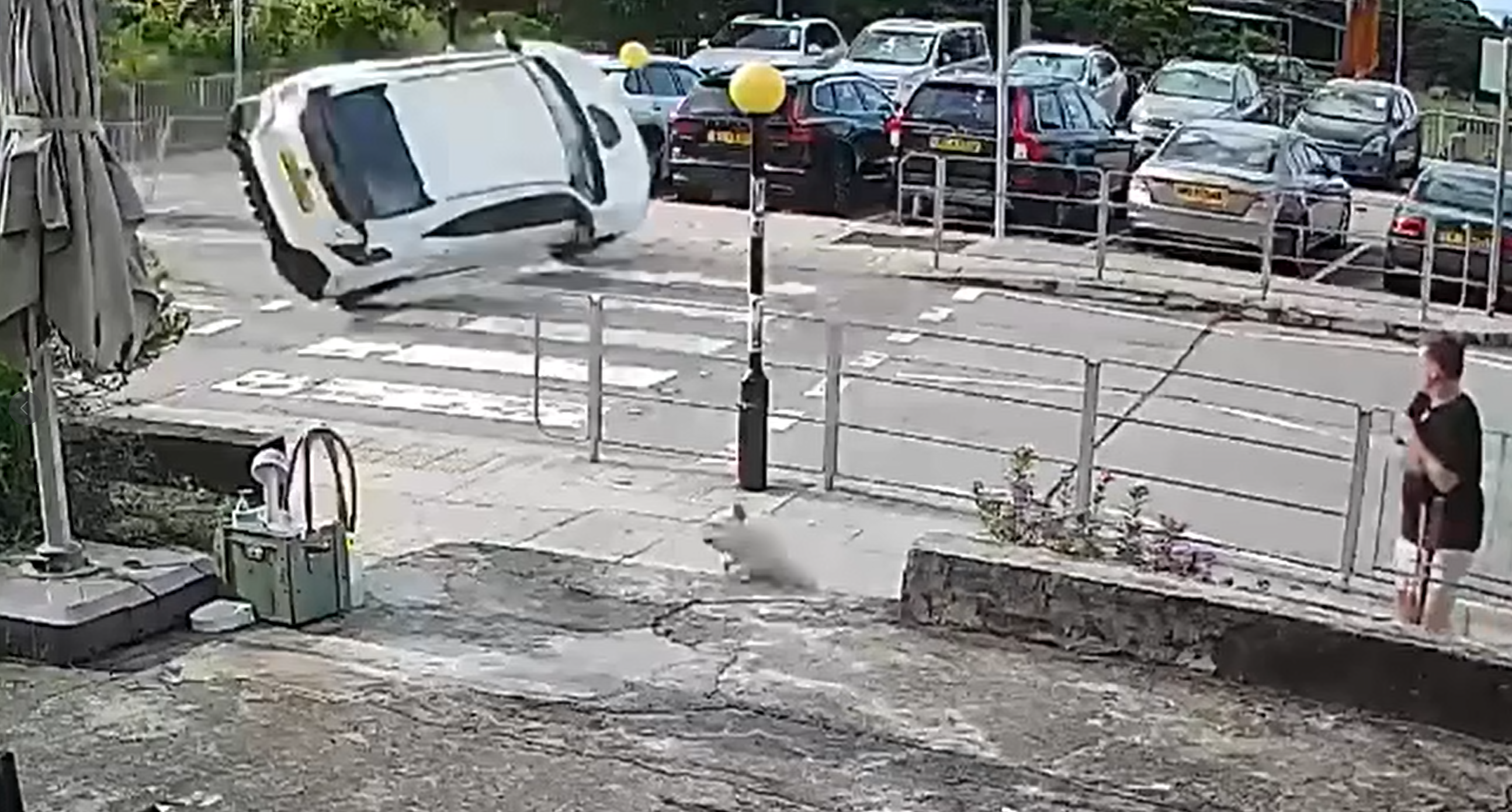 大嶼山私家車斑馬線「反肚」嚇親放狗途人 司機疑「恰眼瞓」肇禍(有片)