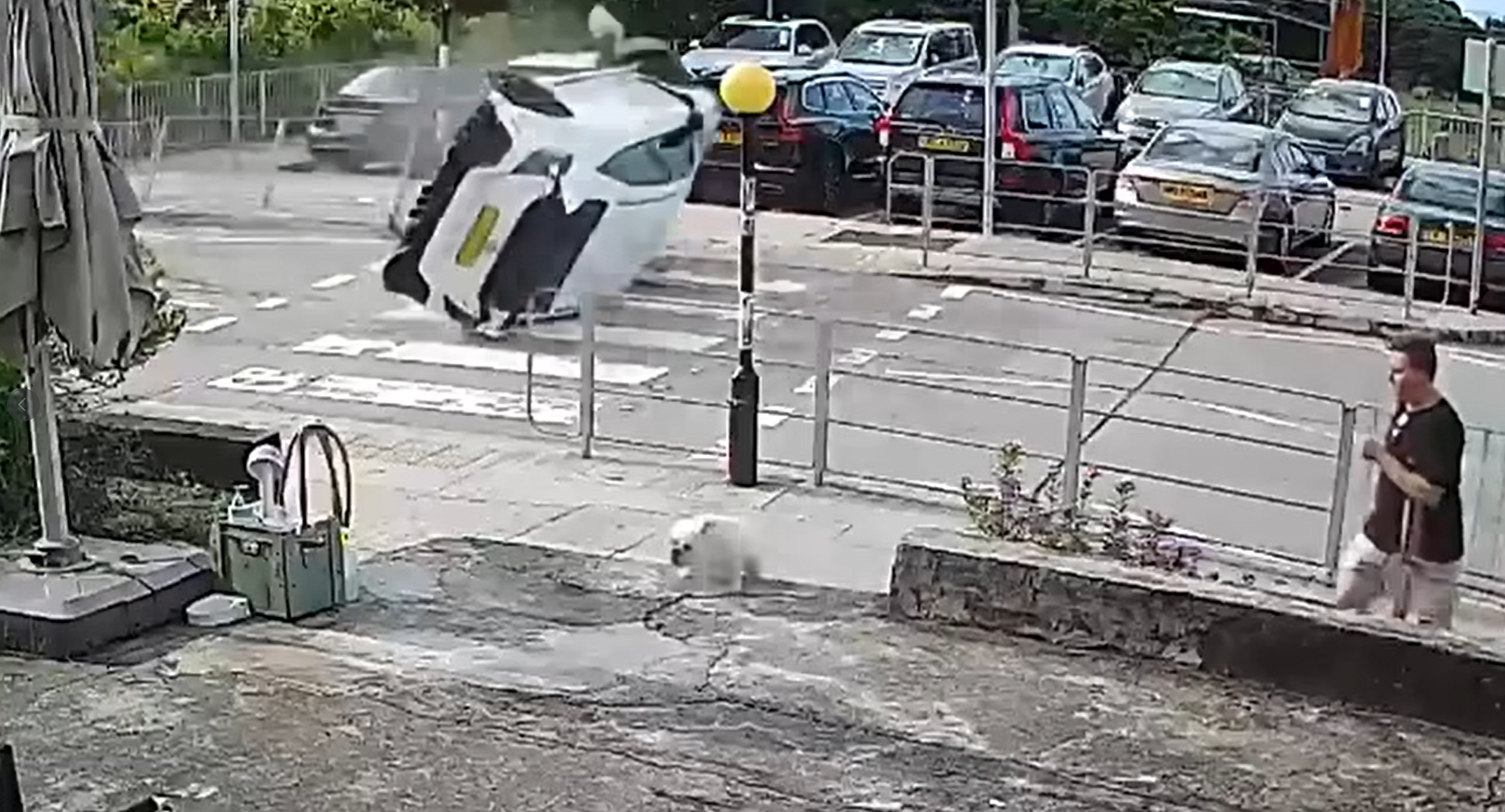 大嶼山私家車斑馬線「反肚」嚇親放狗途人 司機疑「恰眼瞓」肇禍(有片)