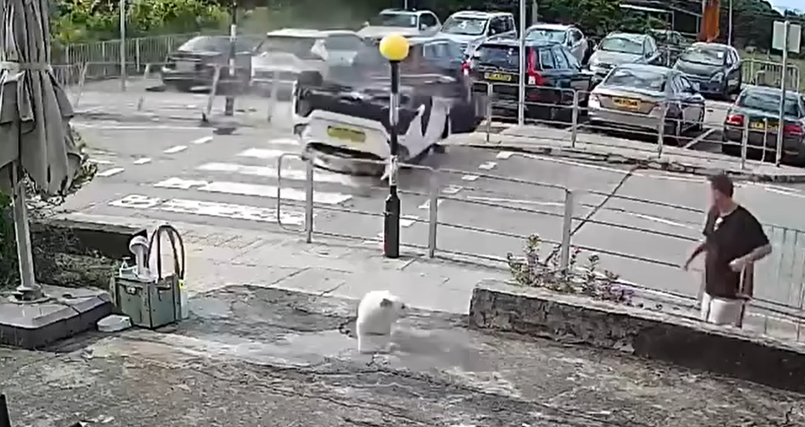 大嶼山私家車斑馬線「反肚」嚇親放狗途人 司機疑「恰眼瞓」肇禍(有片)