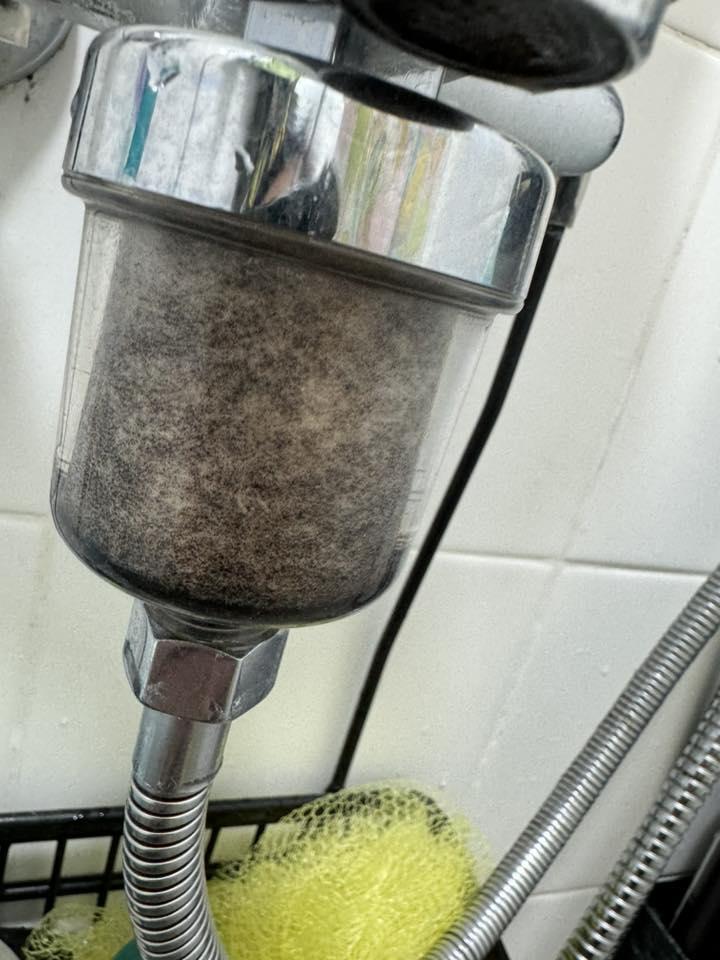 皇后山食水出現大量黑點(皇后山居民群組圖片)