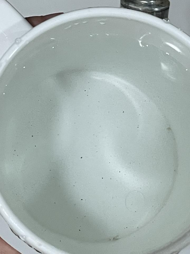 皇后山食水出現大量黑點(皇后山居民群組圖片)