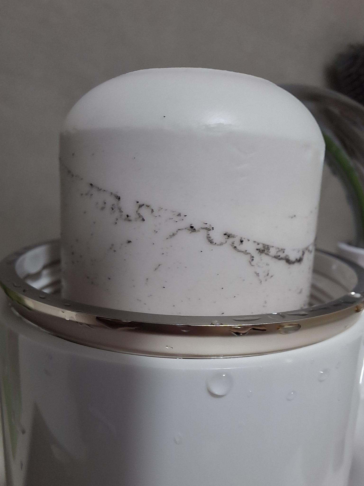 皇后山食水出現大量黑點(皇后山居民群組圖片)