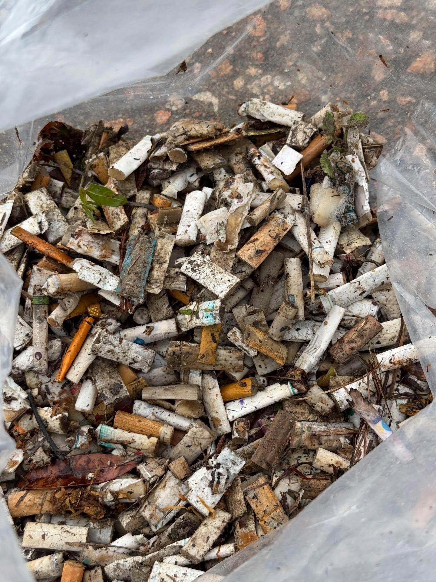 一批熱心市民趁父親節當天組隊在三號風球下登上飛鵝山行山清理山野垃圾,途中發現大量避孕套及過千支煙頭,甚至出現曾使用過驗孕棒。(the_night_spyder@Threads)