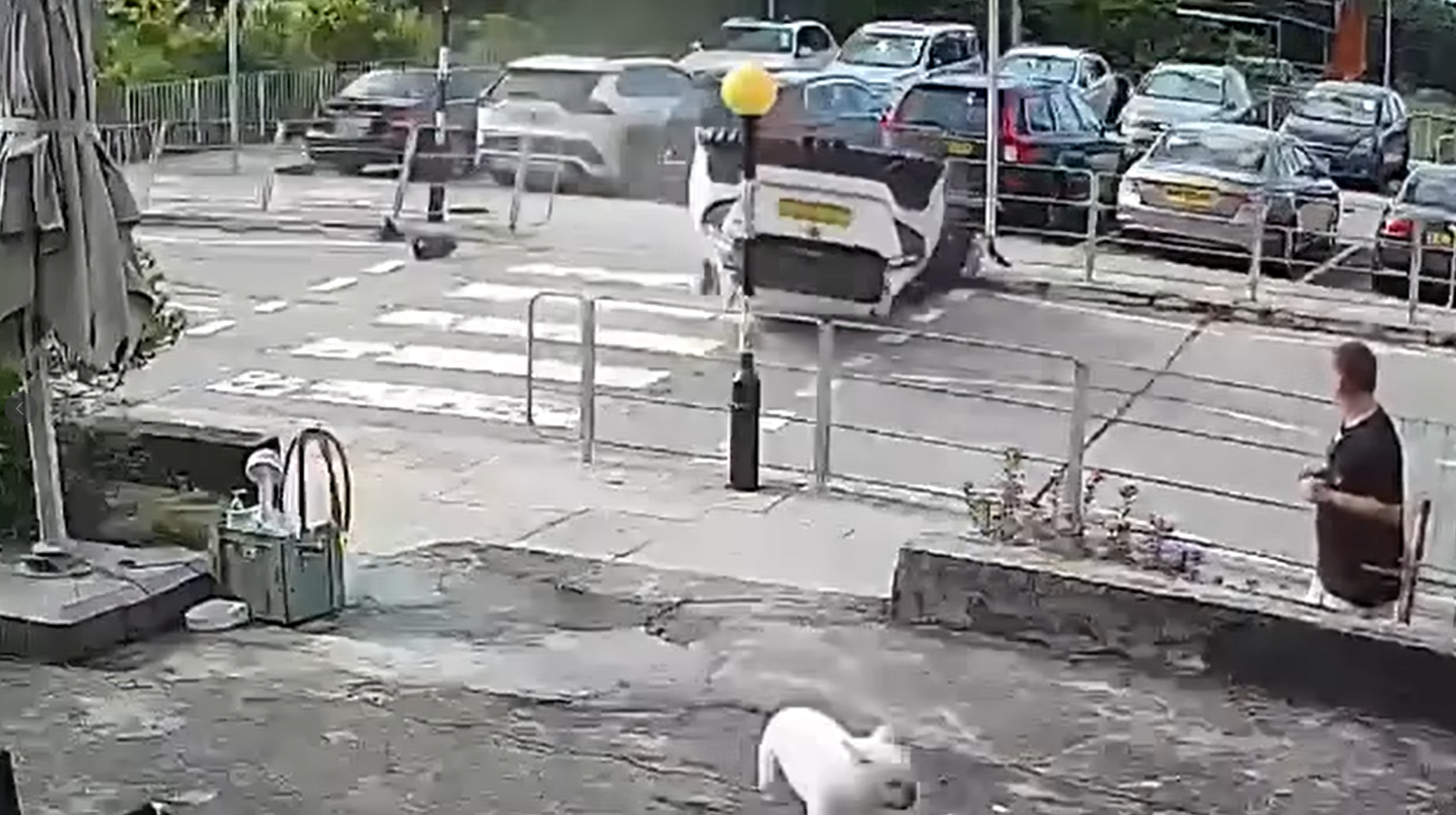 大嶼山私家車斑馬線「反肚」嚇親放狗途人 司機疑「恰眼瞓」肇禍(有片)