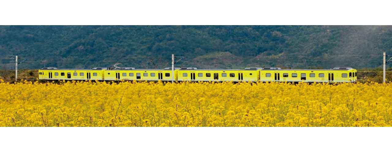 上山消暑下海清涼 今夏逃離香港 感受台灣微笑盛夏